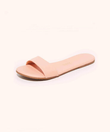Alex Slides